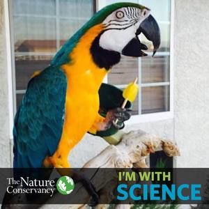 Meet your Posher, Joey